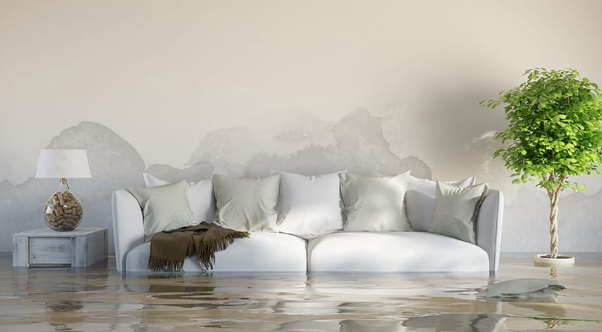 Water Restoration Toronto