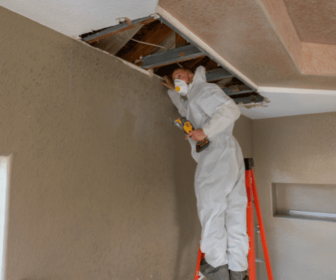 mold-damage-remediator